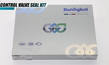 Control Valve Seal Kit