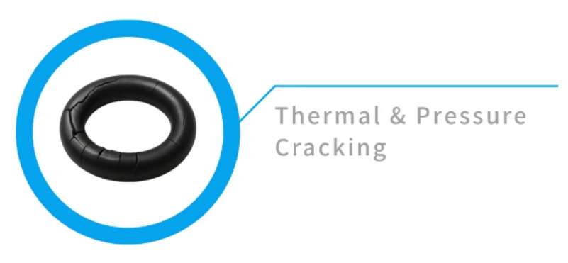 8_Major_O-Ring_07.png